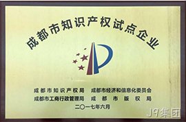 成都市知识产权试点企业