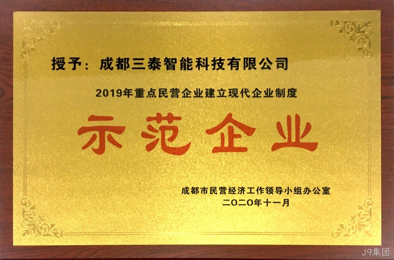 2019重点民营企业建立现代企业制度-示范企业